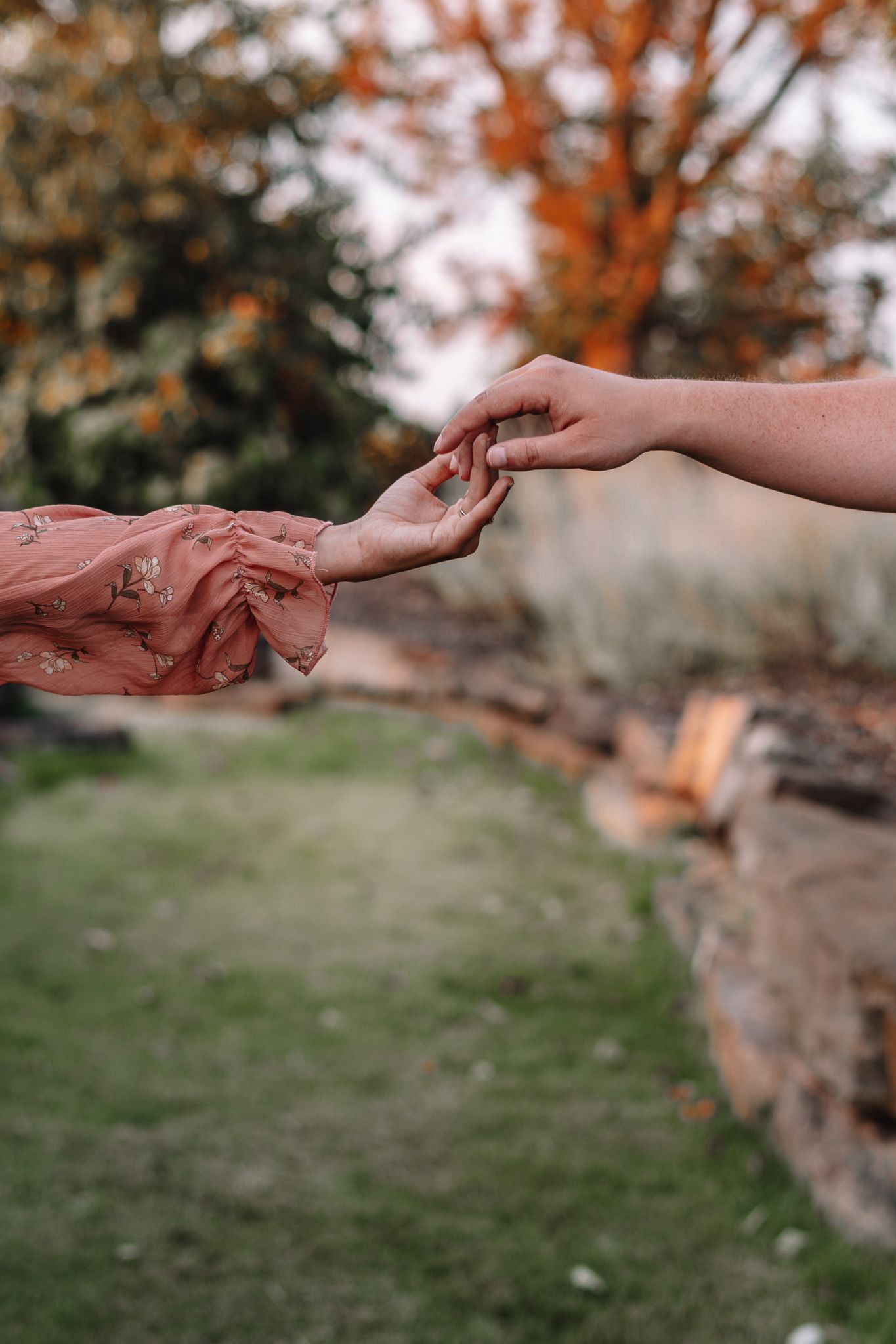 Hands reaching toward each other against autumn foliage background.