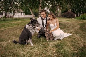 A couple in wedding attire sits on grass with their two large dogs during an outdoor photo session.