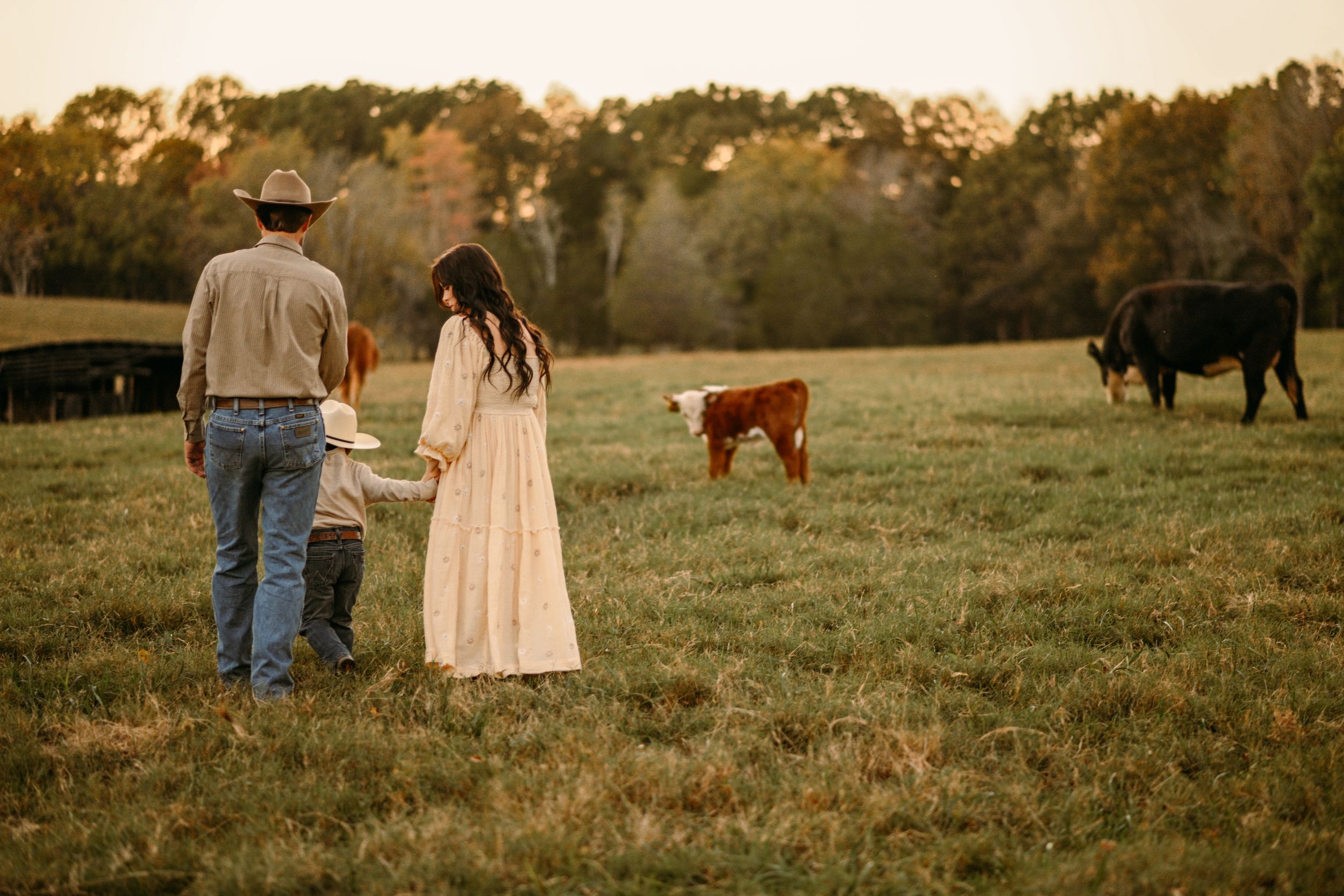 A couple stands in a field with grazing cattle and a brown dog at sunset.