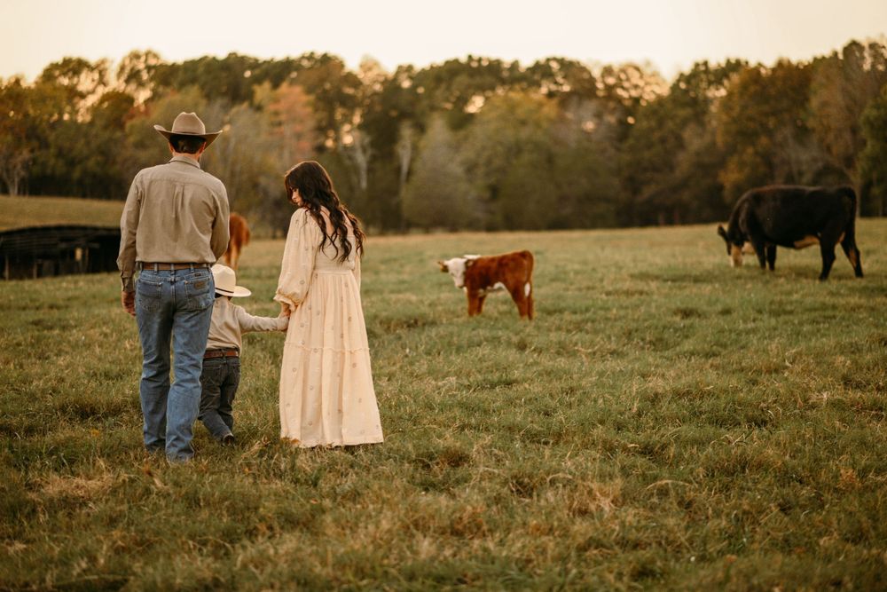 A couple stands in a field with grazing cattle and a brown dog at sunset.