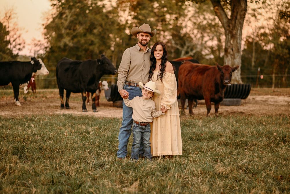 Family portrait session at golden hour in a pastoral setting with cows grazing in background.