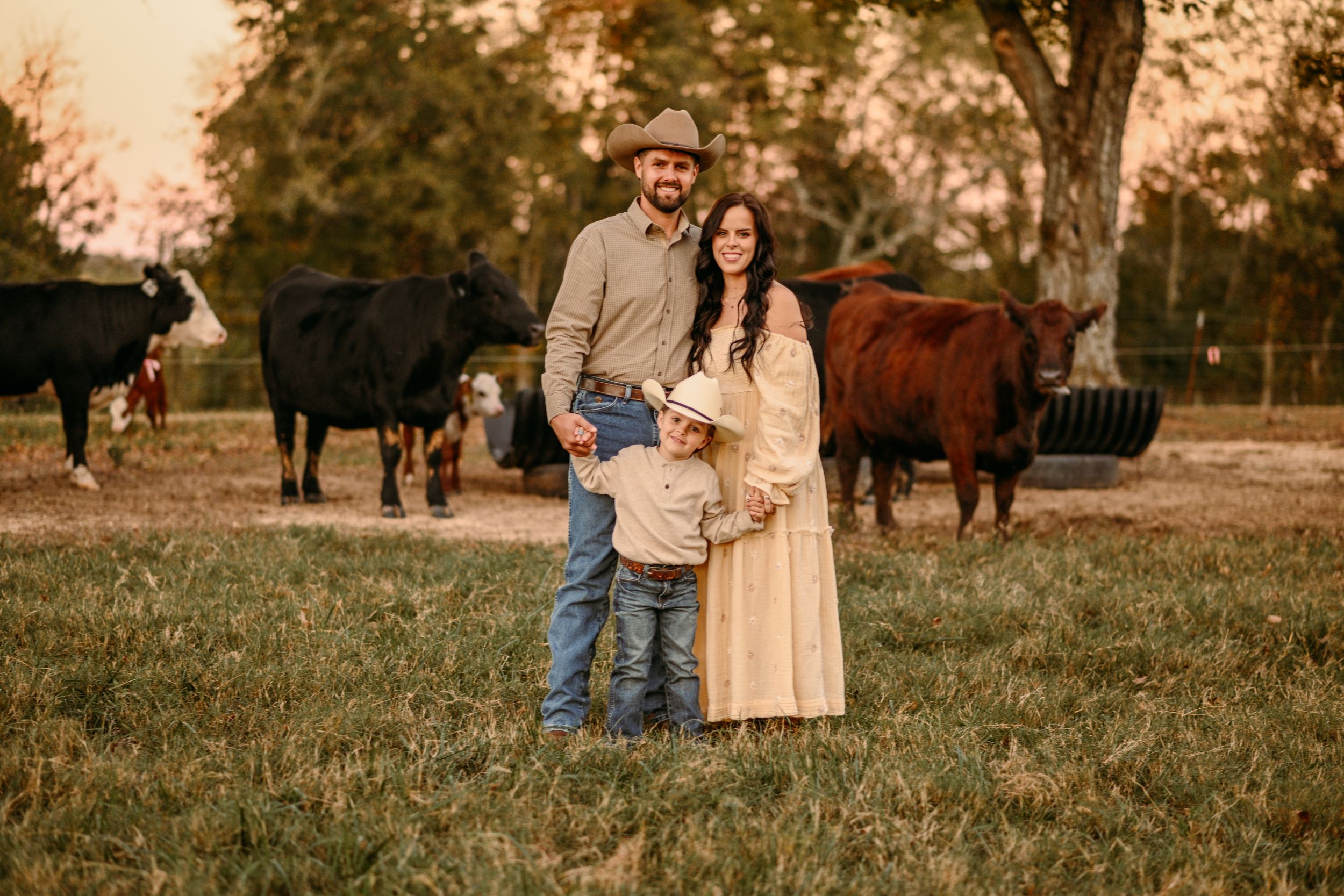 Family portrait session at golden hour in a pastoral setting with cows grazing in background.