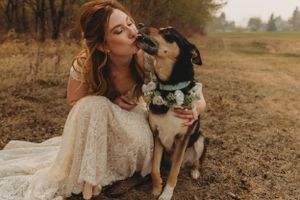 Wedding moment captured with a husky wearing a bowtie in a rustic outdoor setting.