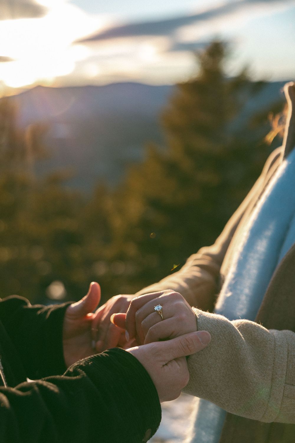Close-up view of hands reaching towards sunlit mountain landscape during golden hour with evergreen trees in background.