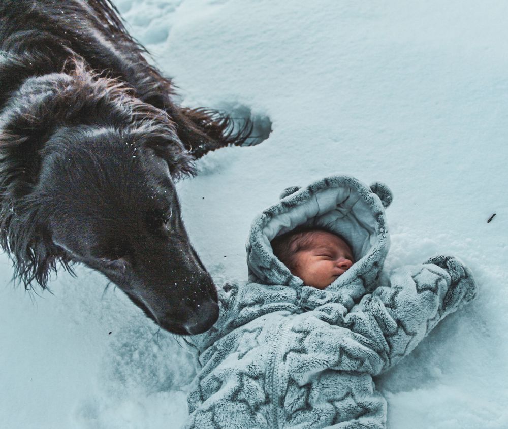 A sequence of someone falling and rolling in deep snow while wearing winter clothing and a black hat.