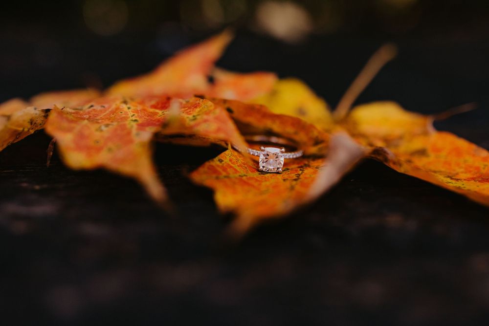 A diamond engagement ring resting on vibrant orange and yellow autumn leaves, perfect for fall wedding inspiration.