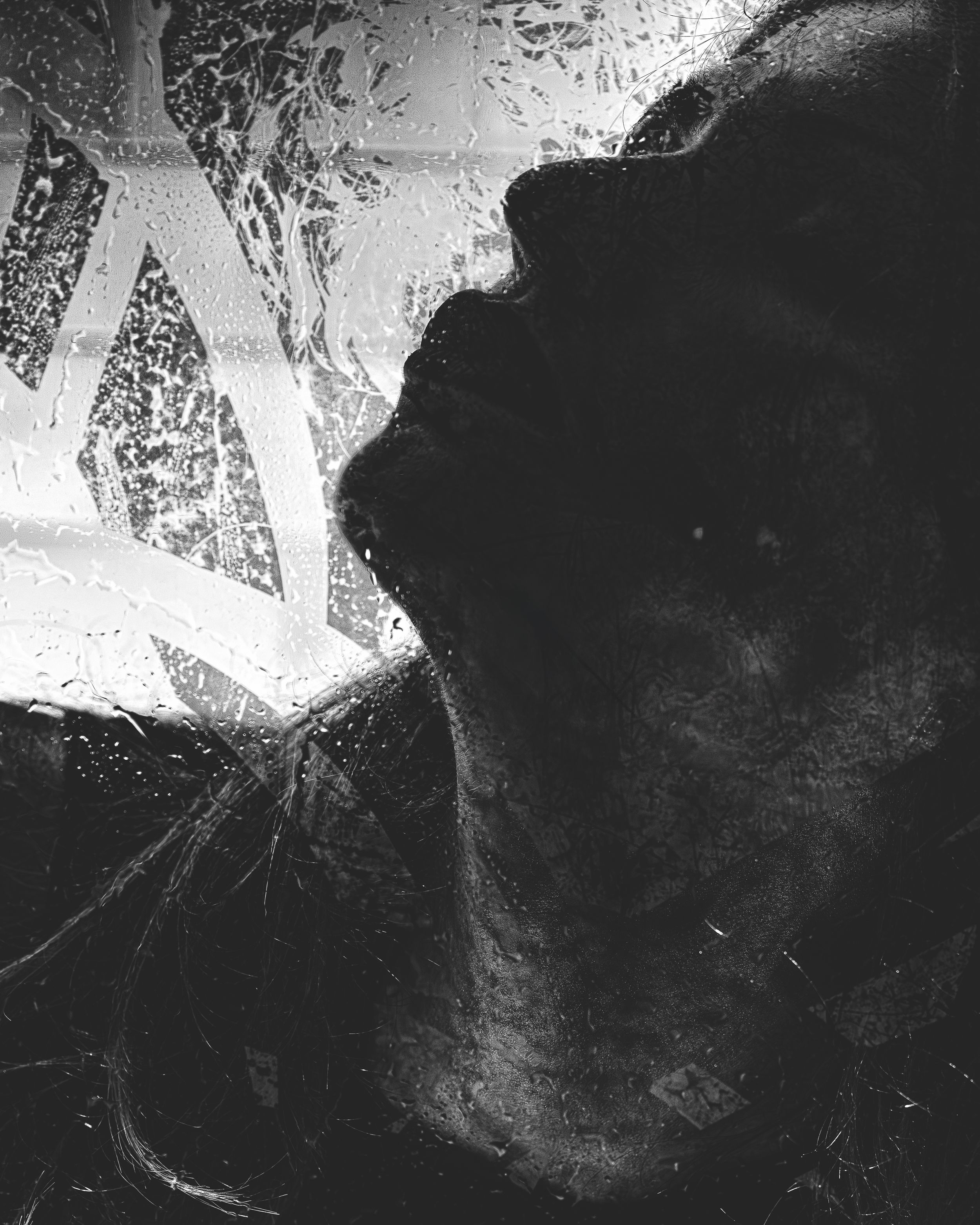 High-contrast black and white silhouette portrait of a woman with curly hair, hand raised, dramatic shadows