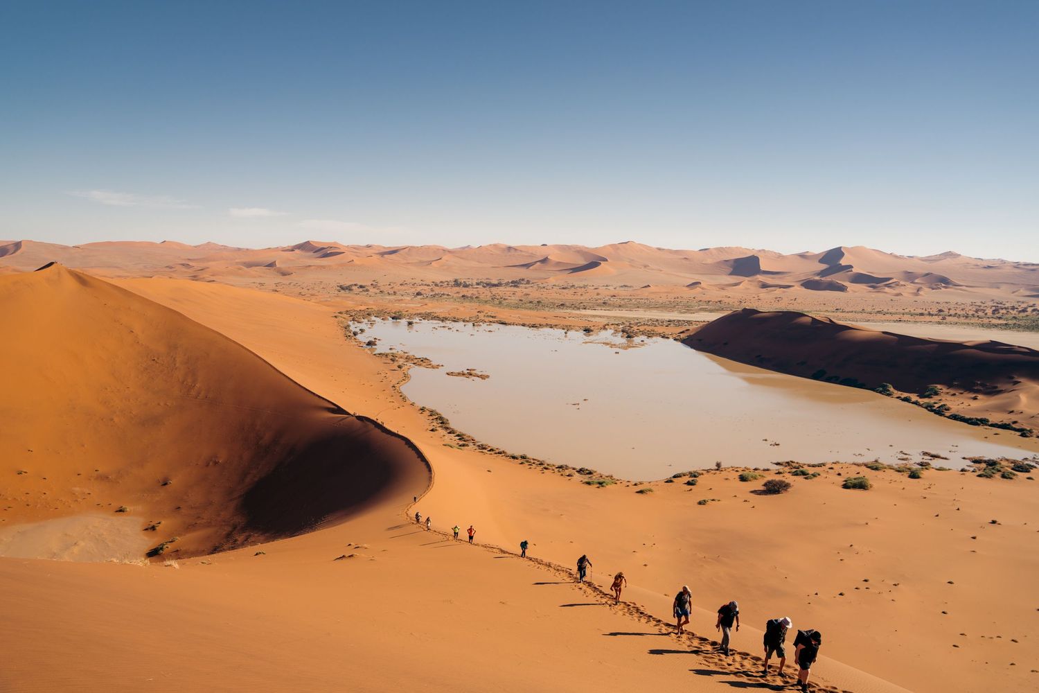 marcheurs qui font l'ascension de big daddy dans le désert du namib avec les des dunes oranges en arrière-plan et une oasis