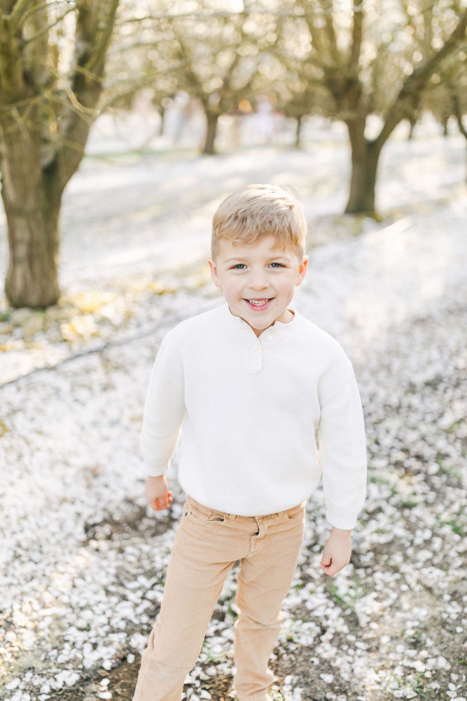 Smiling young boy in white shirt and tan pants standing in a park covered with fallen white blossoms.