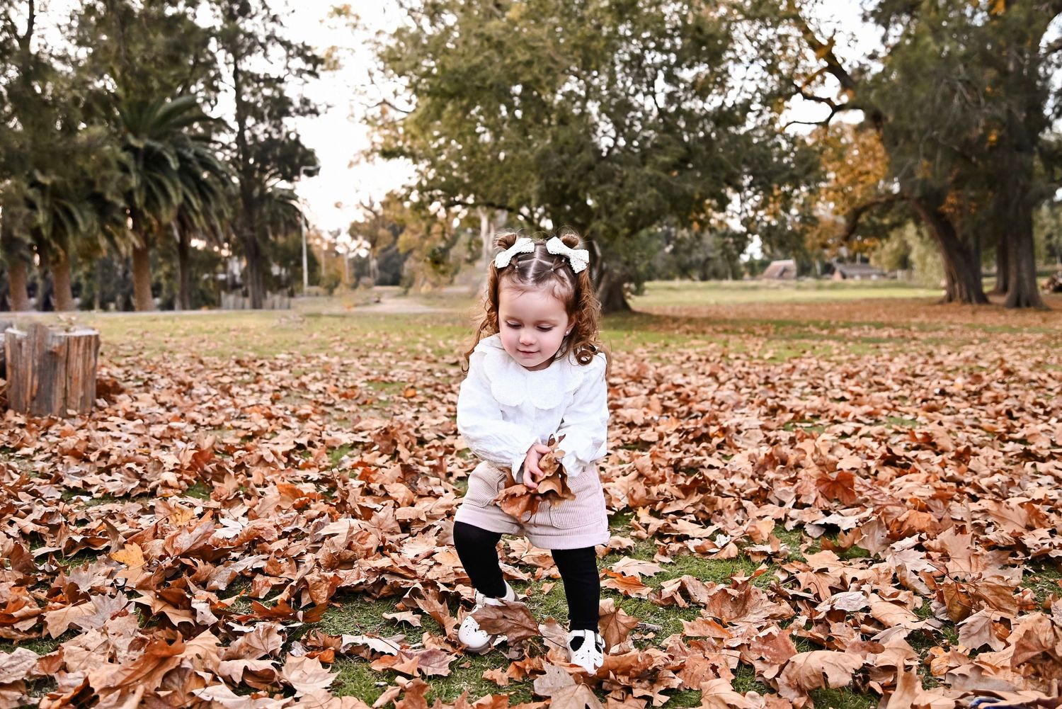 Toddler girl in white sweater playing with autumn leaves in a park covered in fallen orange and brown foliage.