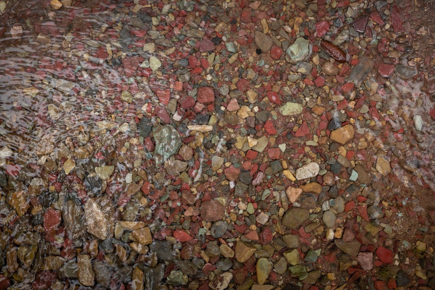 Colorful wet pebbles and rocks in shades of red, green, and brown scattered on a natural stone surface.
