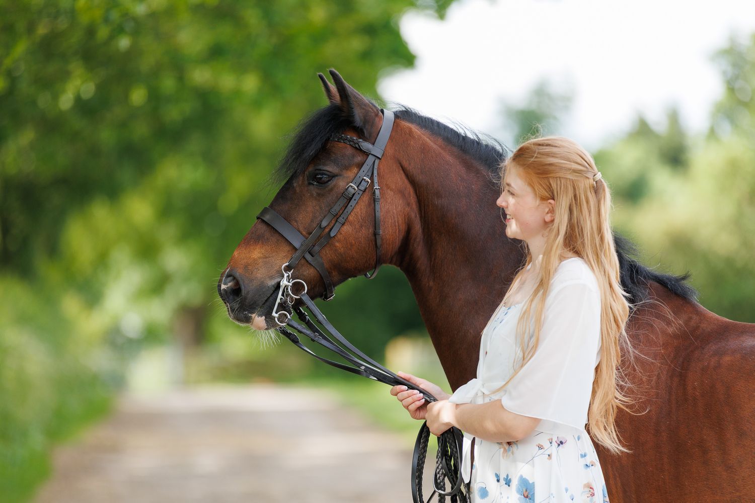 A series of seven photos showing a white horse and rider interacting at a wooden fence in an outdoor setting.