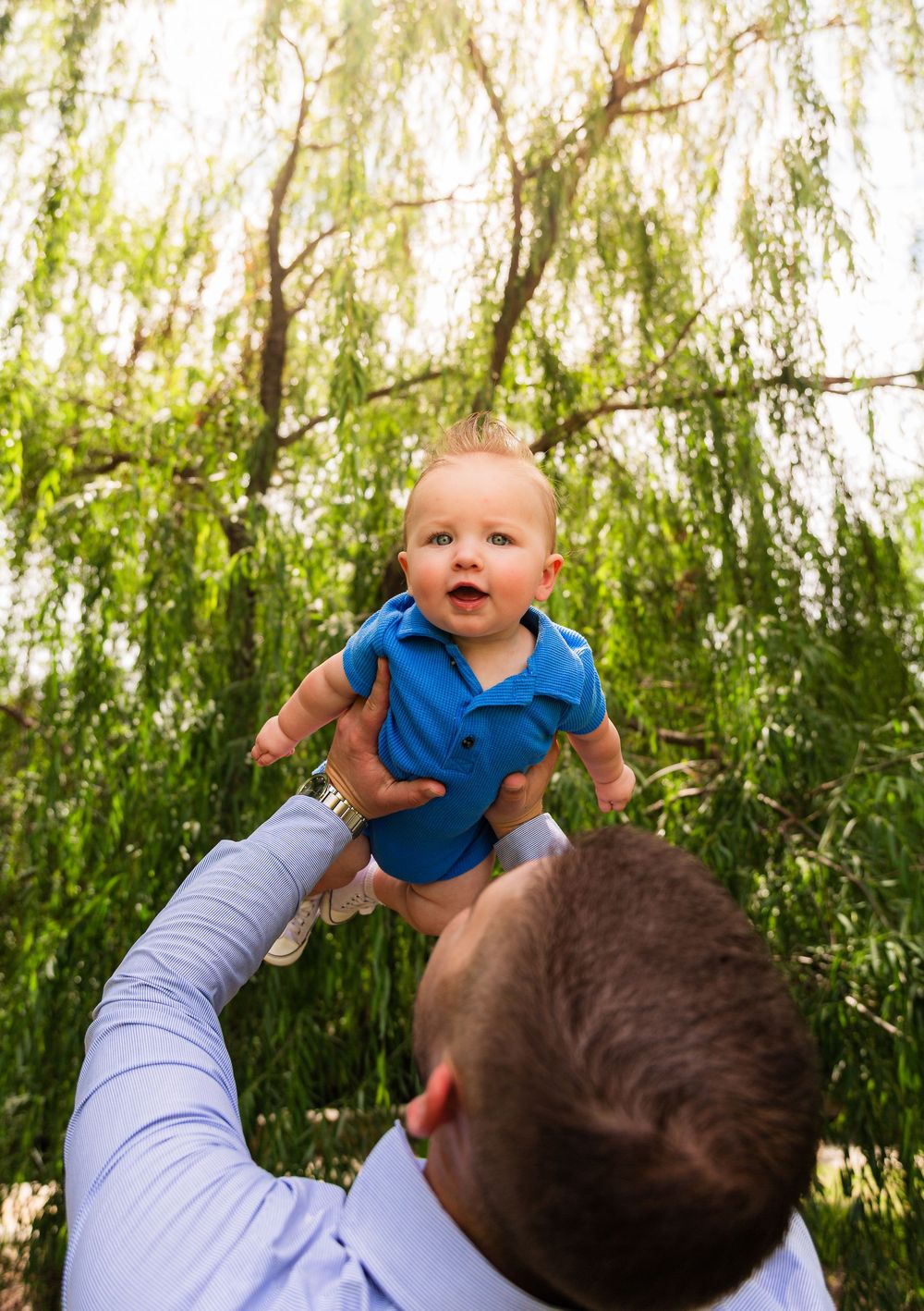 Father lifting smiling baby in blue onesie above his head outdoors under a lush green weeping willow tree.