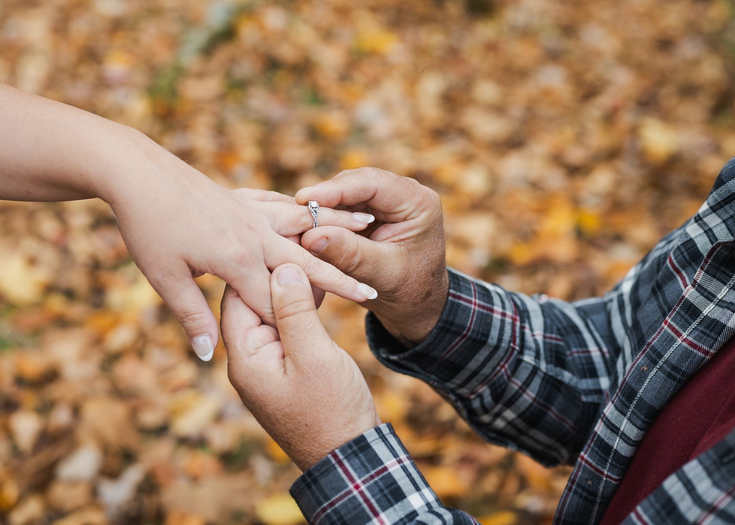 Fall engagement session in the Shenandoah Valley