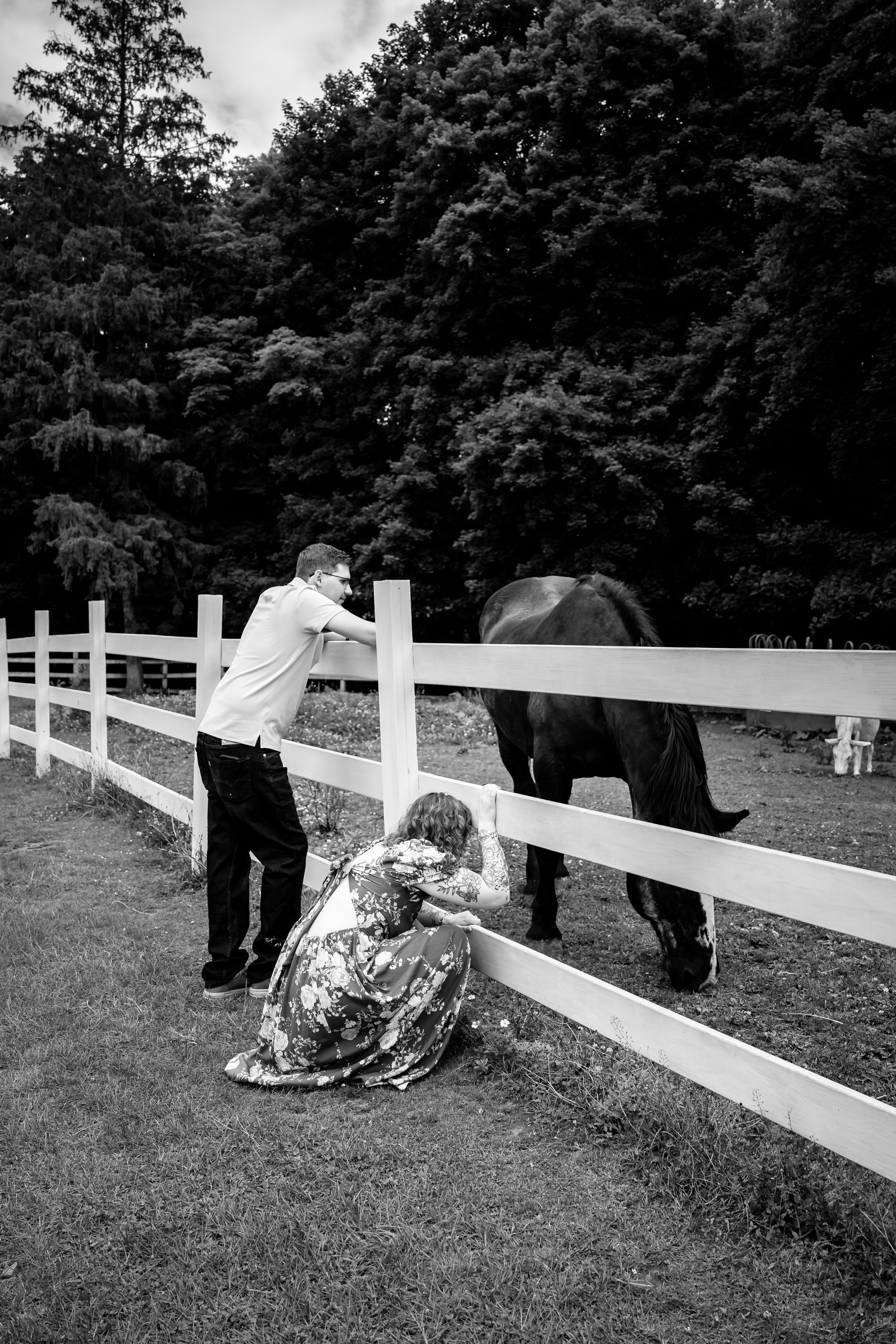 Black and white photo of a couple admiring a horse grazing behind a white fence surrounded by trees.