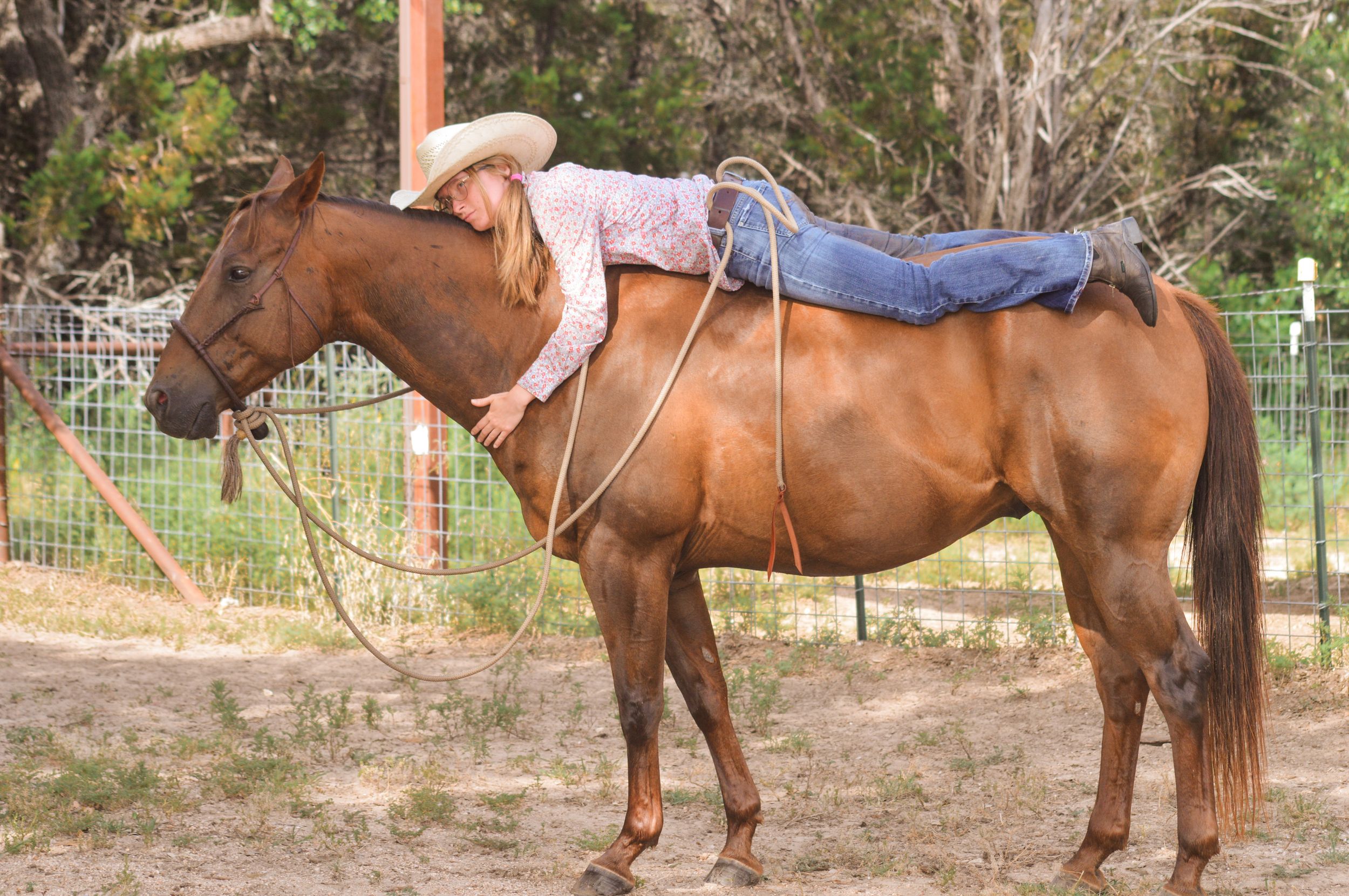 Young woman lies on chestnut horse's back