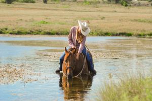 Horse and rider for a swim in a pond