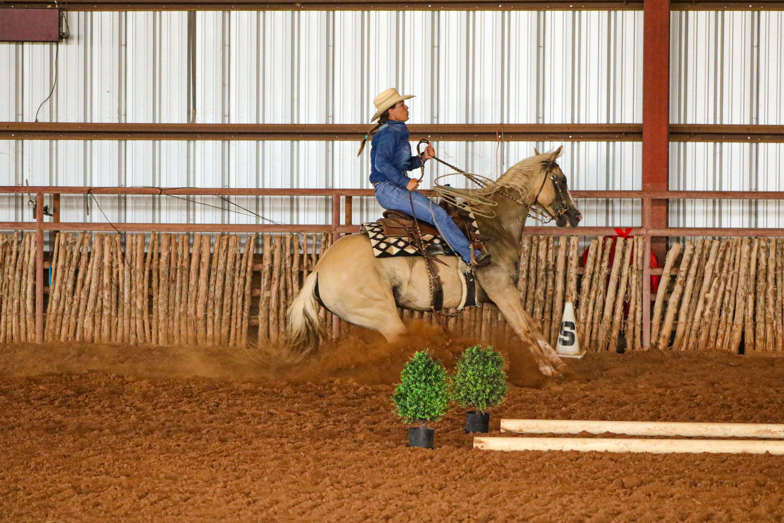 A woman brings her horse to a sudden sliding stop