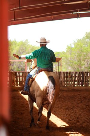 A man in a green shirt rides a horse in an arena
