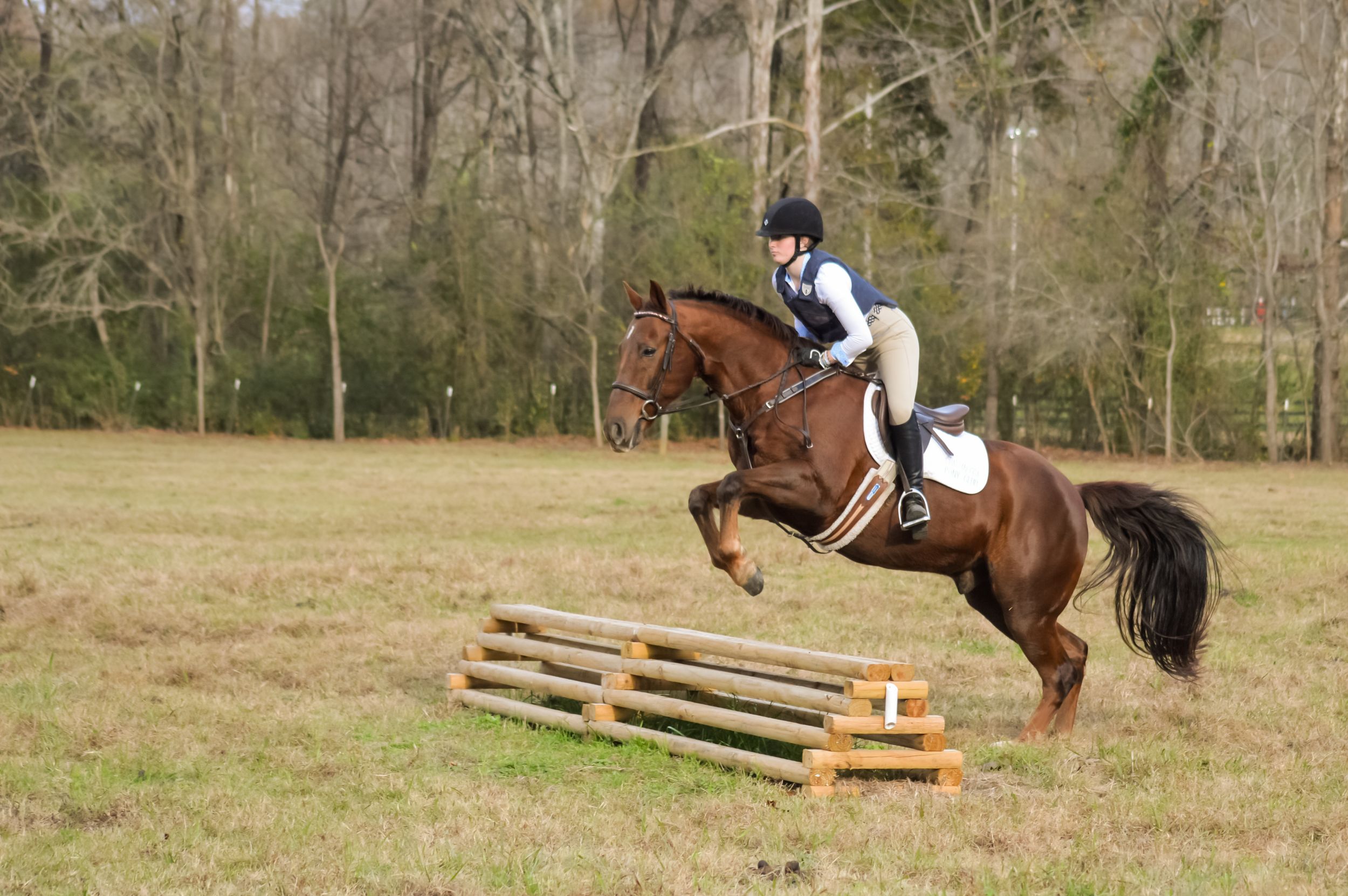 Horse and rider going over a cross country jump