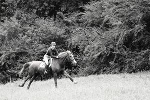 Horse and rider galloping through field