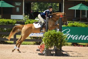 Horse and rider going over a jump