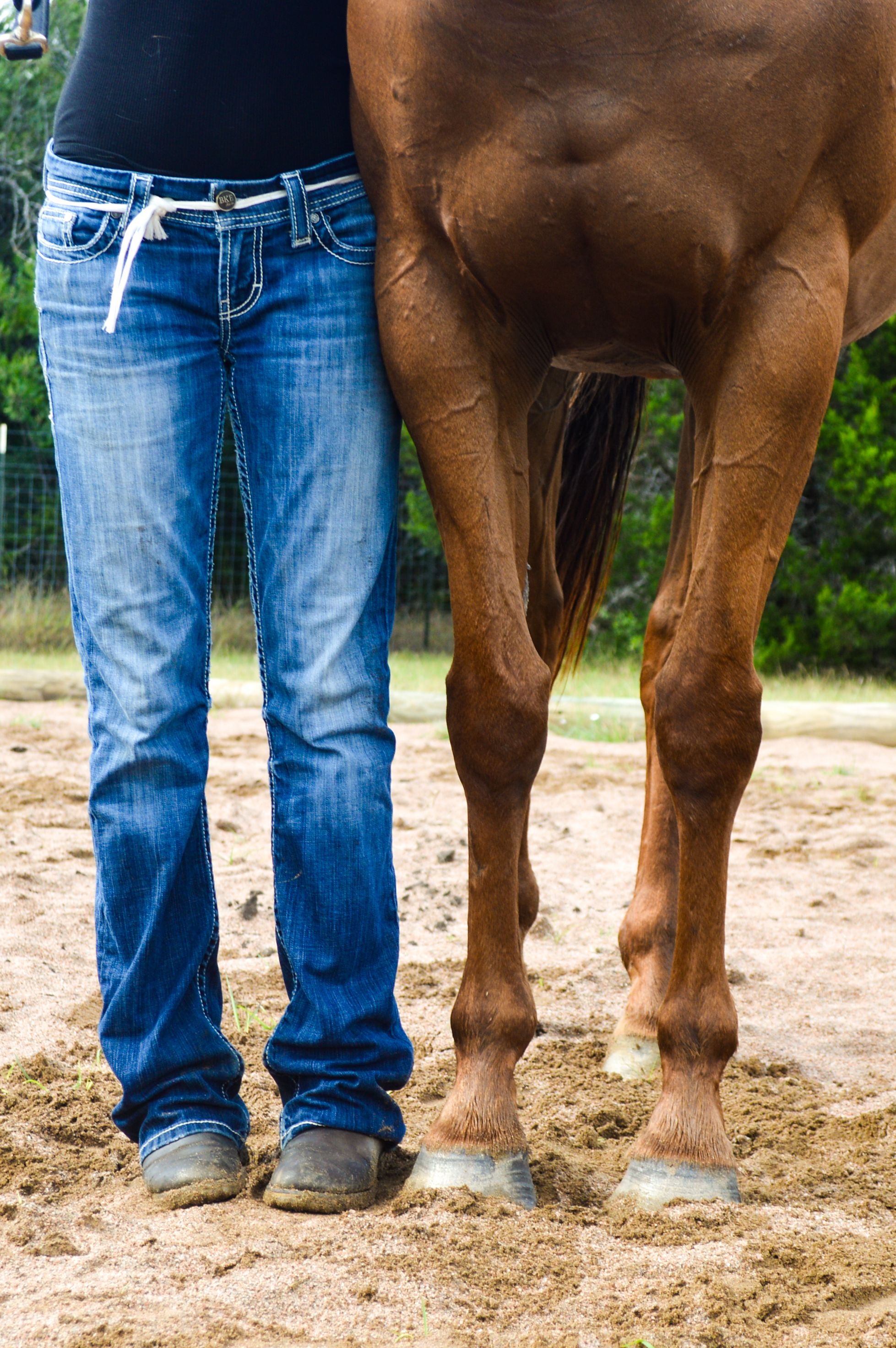A young woman in jeans stands next to her horse