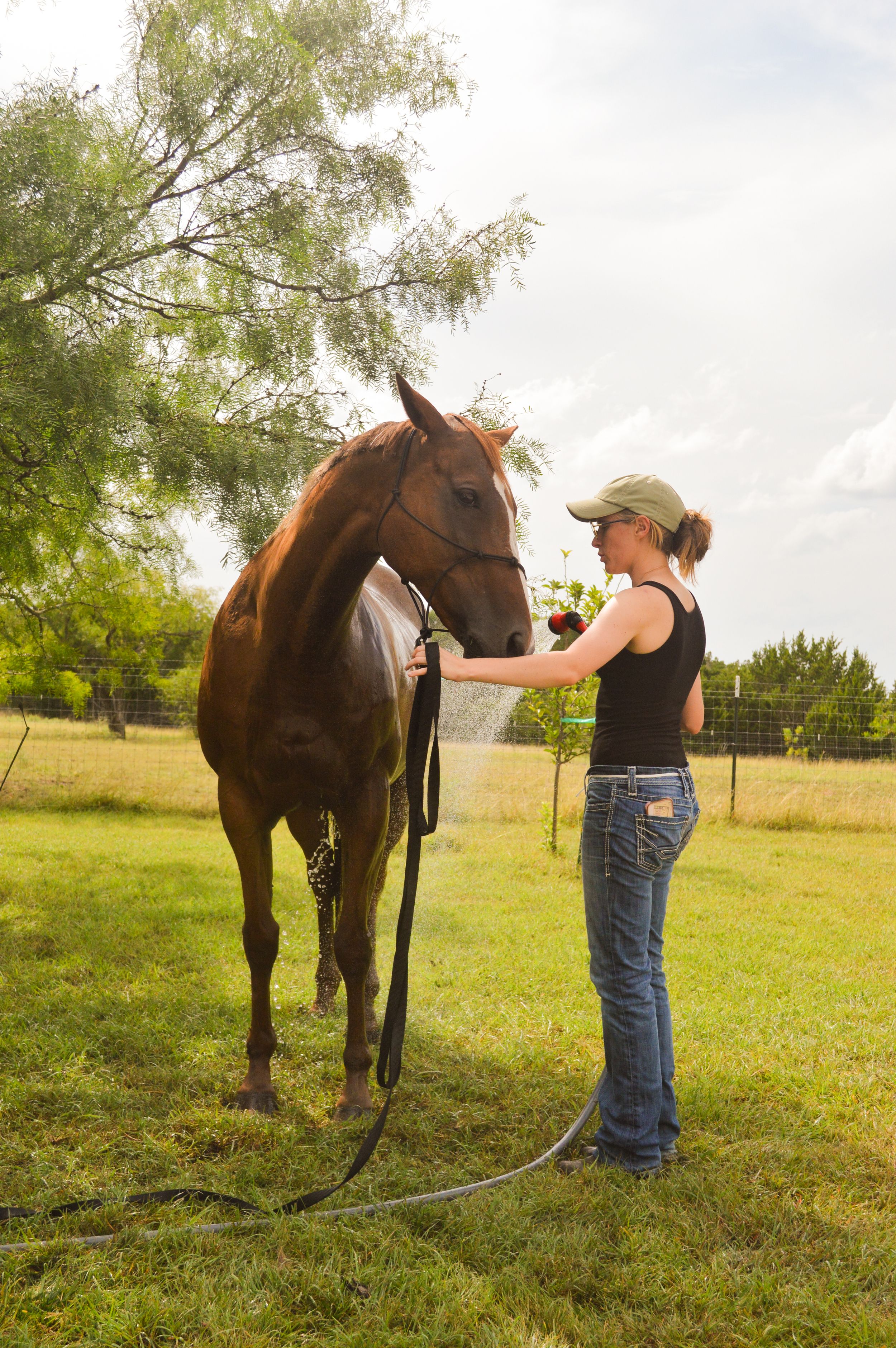 A young woman stands beside her tall horse