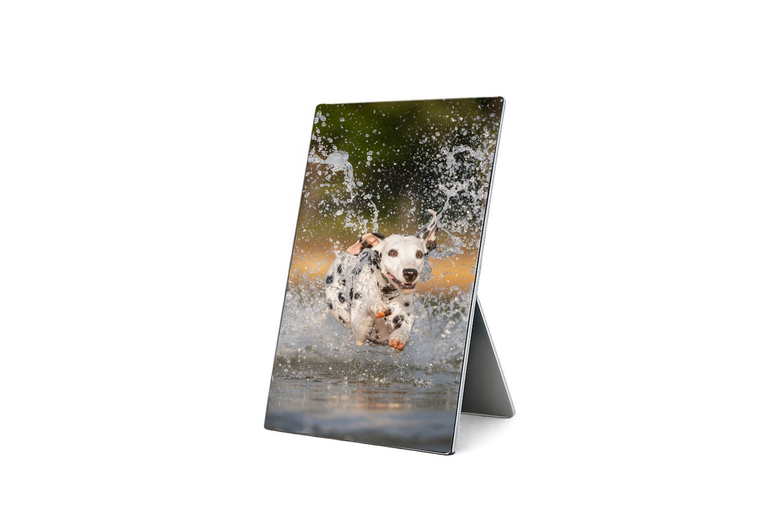 Framed photo print of a Dalmatian dog splashing through water, displayed on an easel-back stand.
