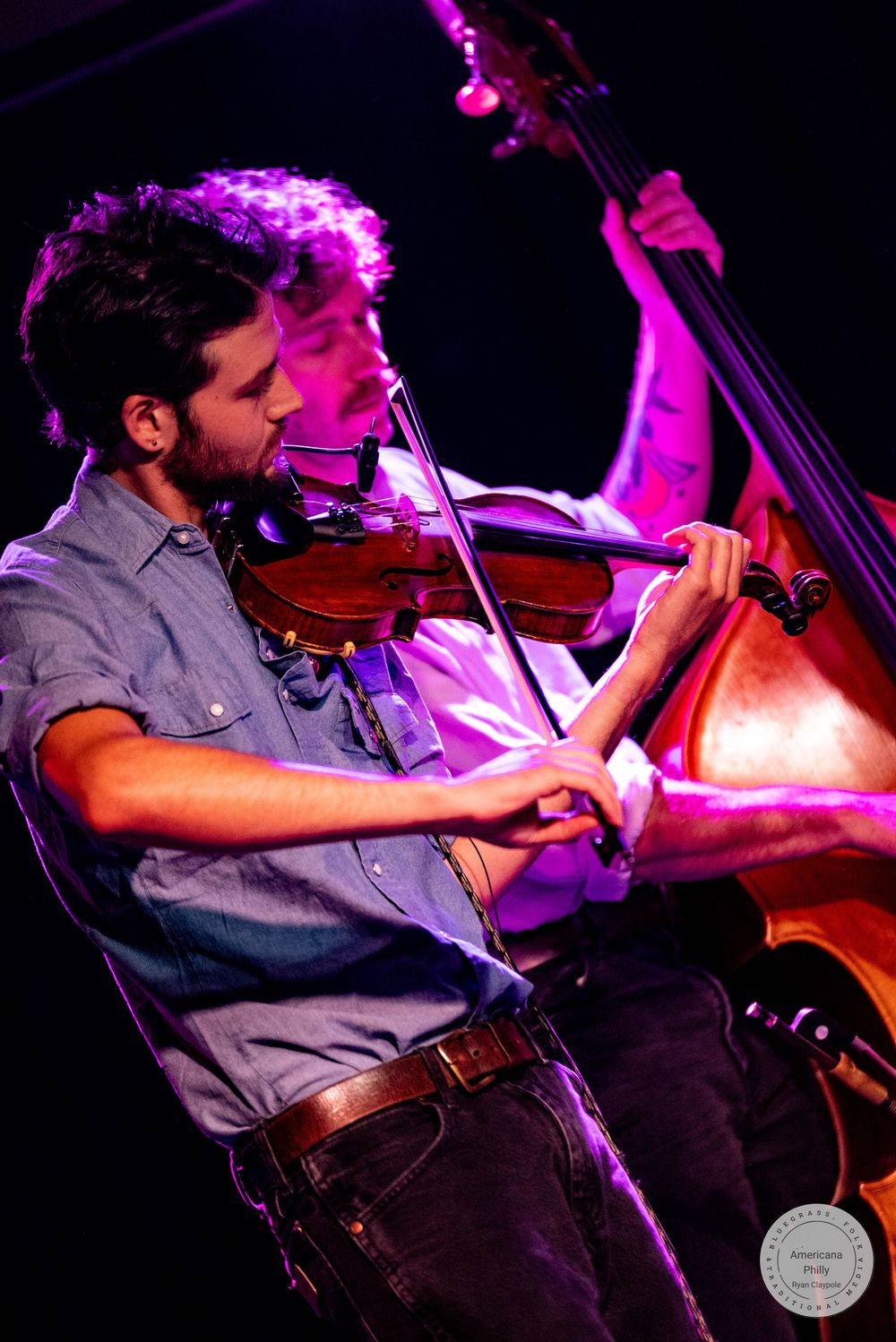 Bearded musician plays violin on stage under purple stage lighting at a live music performance.