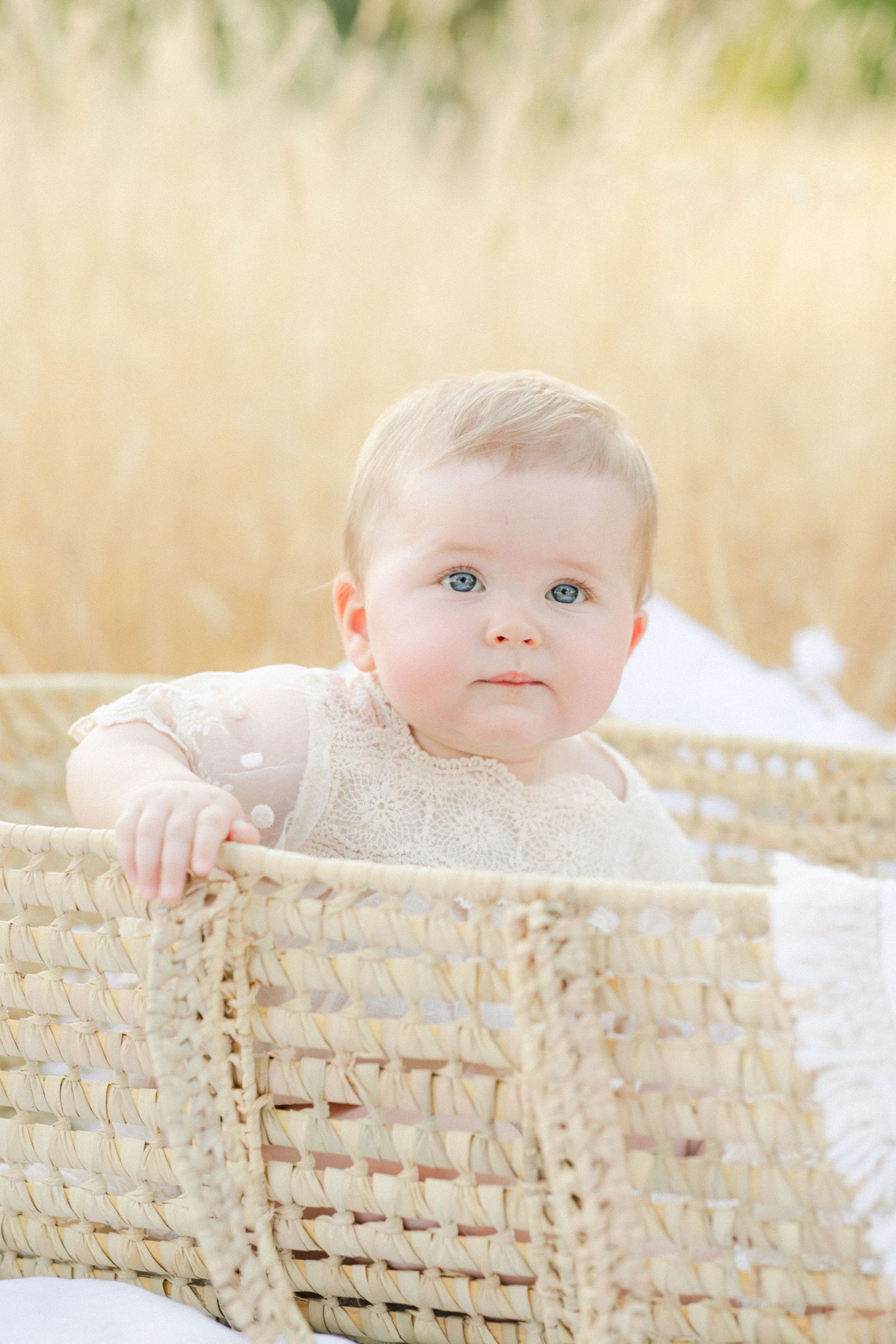 A cute baby with blue eyes sits in a wicker basket outdoors in a golden field wearing a cream outfit.