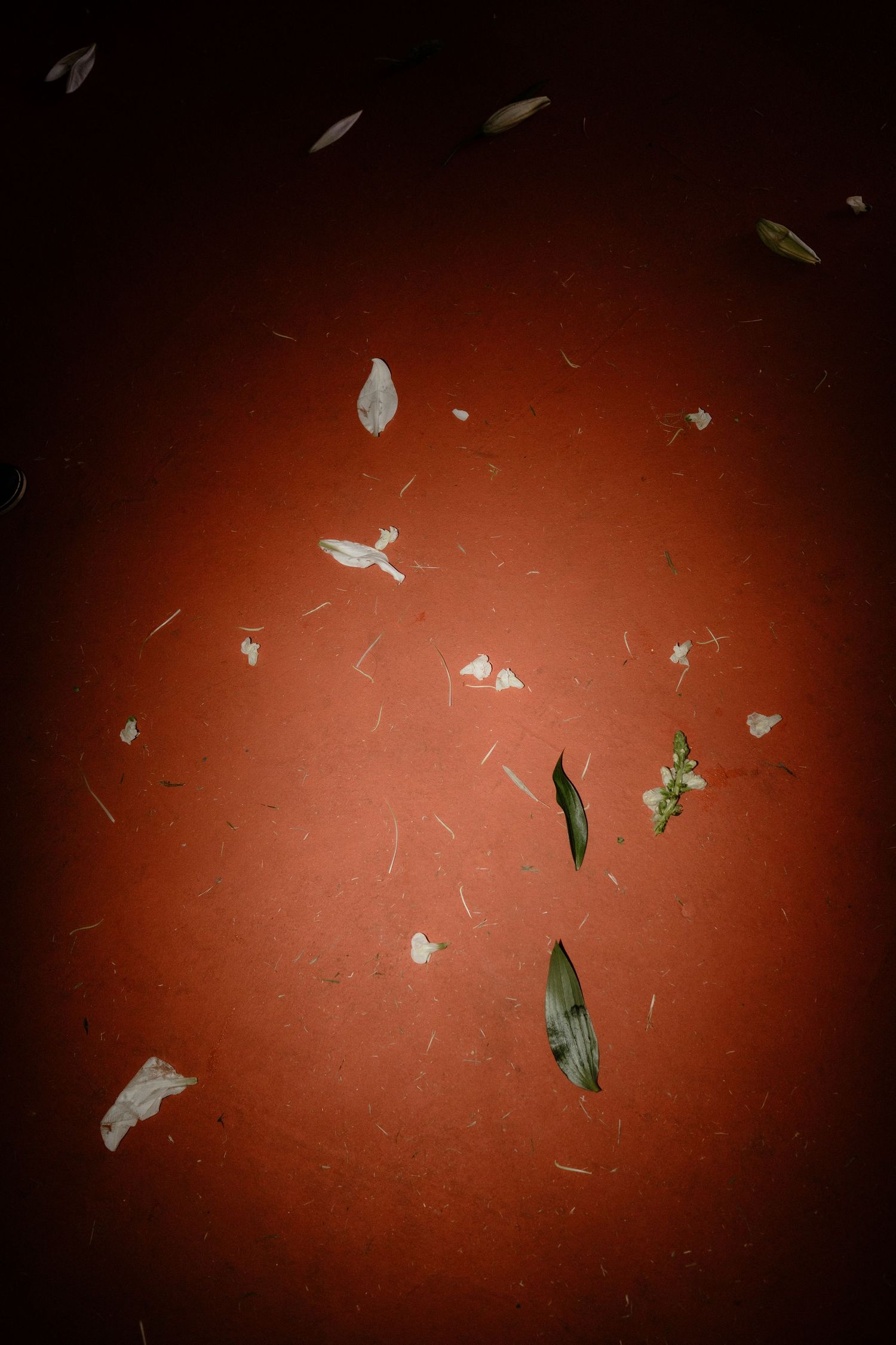 Red surface scattered with fallen leaves and flower petals, illuminated by a soft central light against dark edges.
