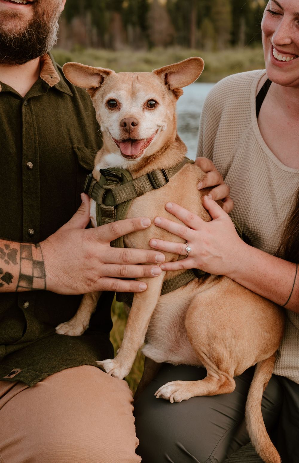 Happy Chihuahua mix in a green harness being held by a smiling couple outdoors near a river.