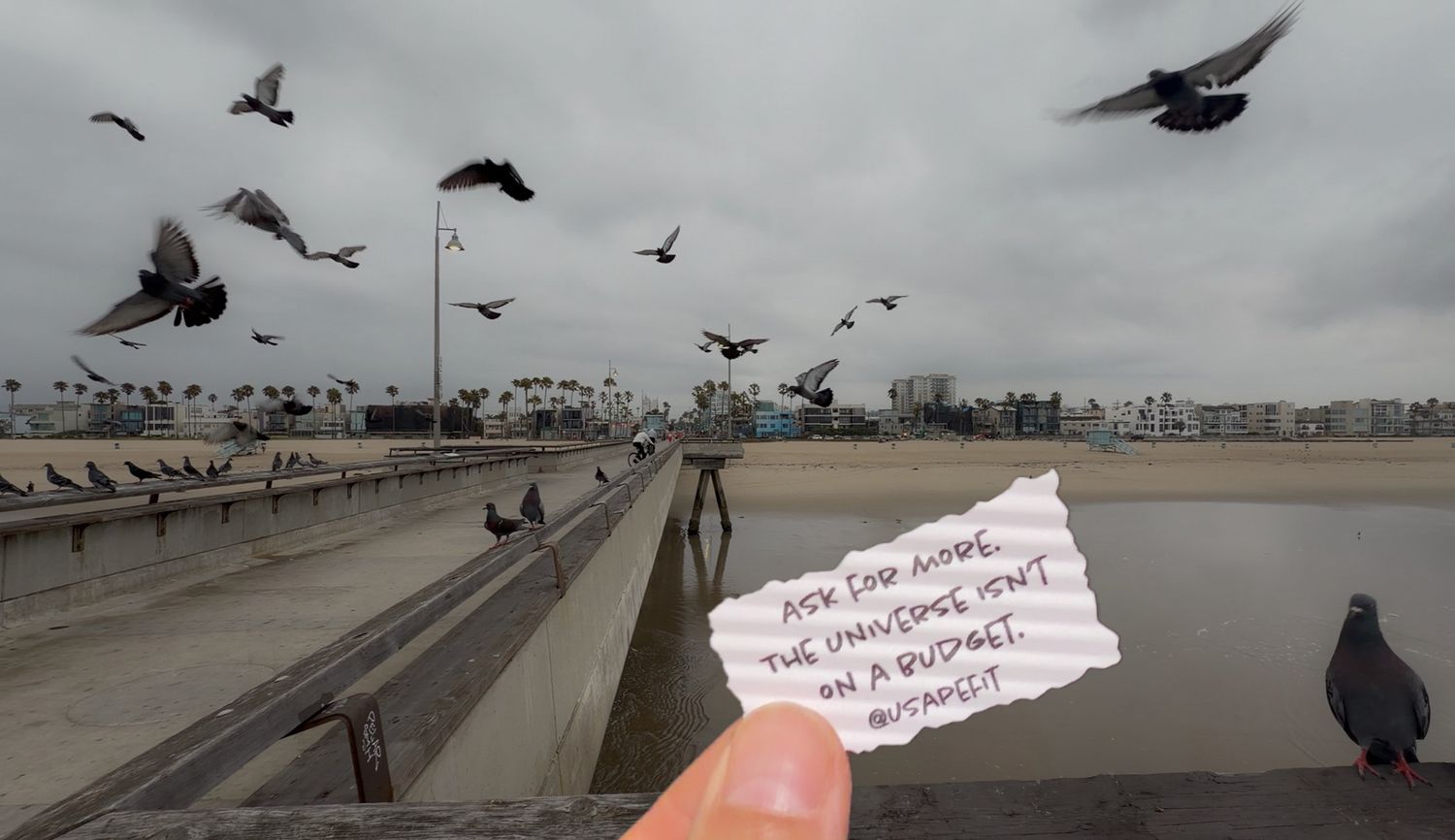 Hand holding a note about the universe near Venice Beach pier with pigeons flying overhead on a cloudy day.