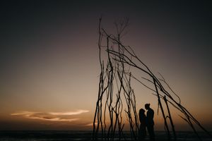 Dramatic sunset silhouettes against a darkening sky with bare trees in the background.