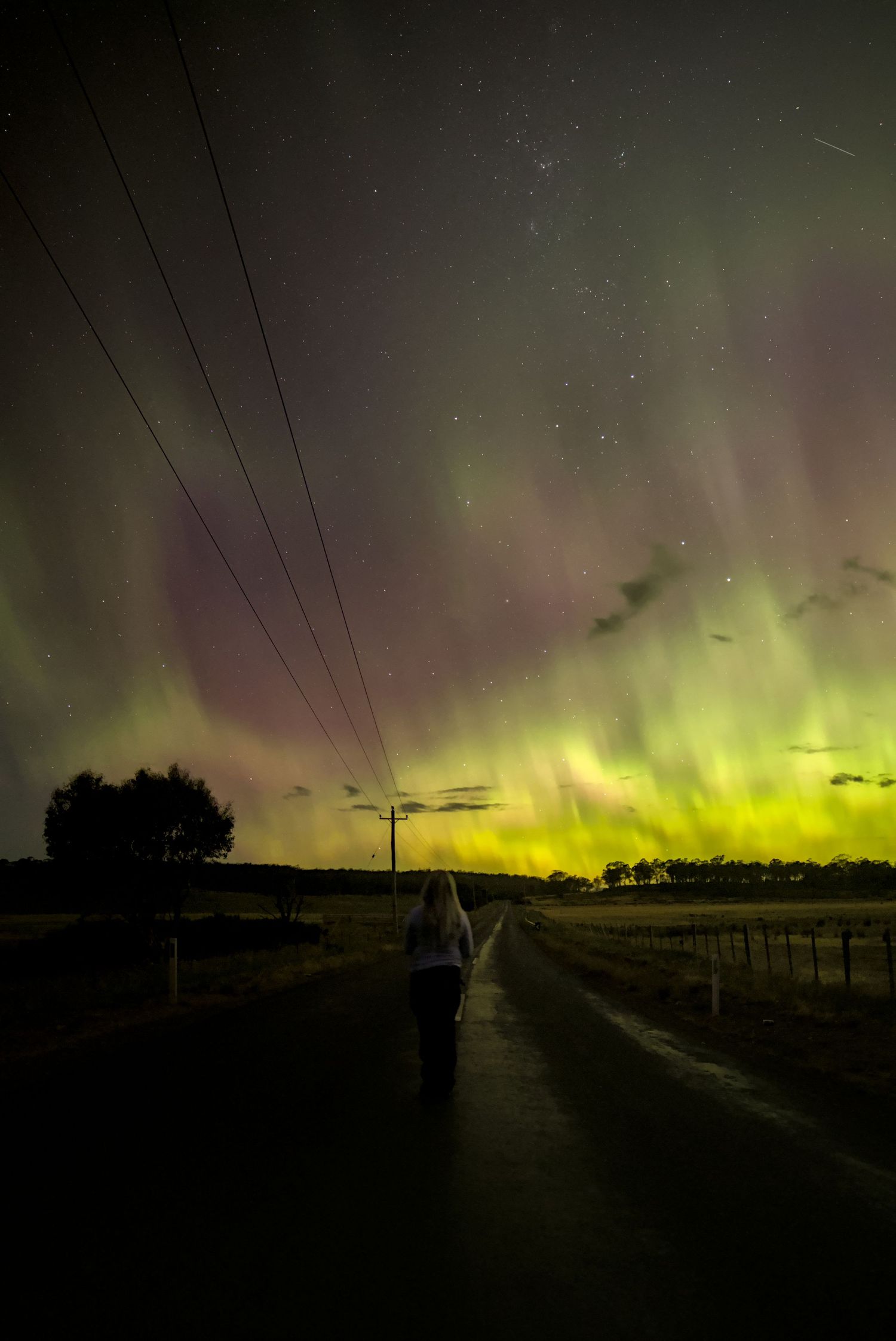 Person standing on rural road beneath vivid aurora australis display with green and purple lights illuminating night sky.