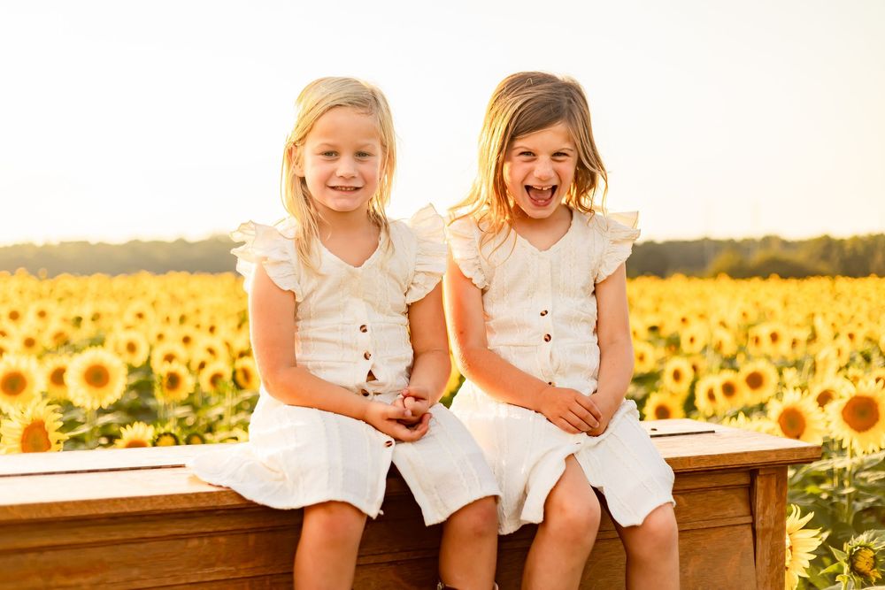 Two young girls in white dresses laugh joyfully while sitting on a wooden bench in a sunflower field.
