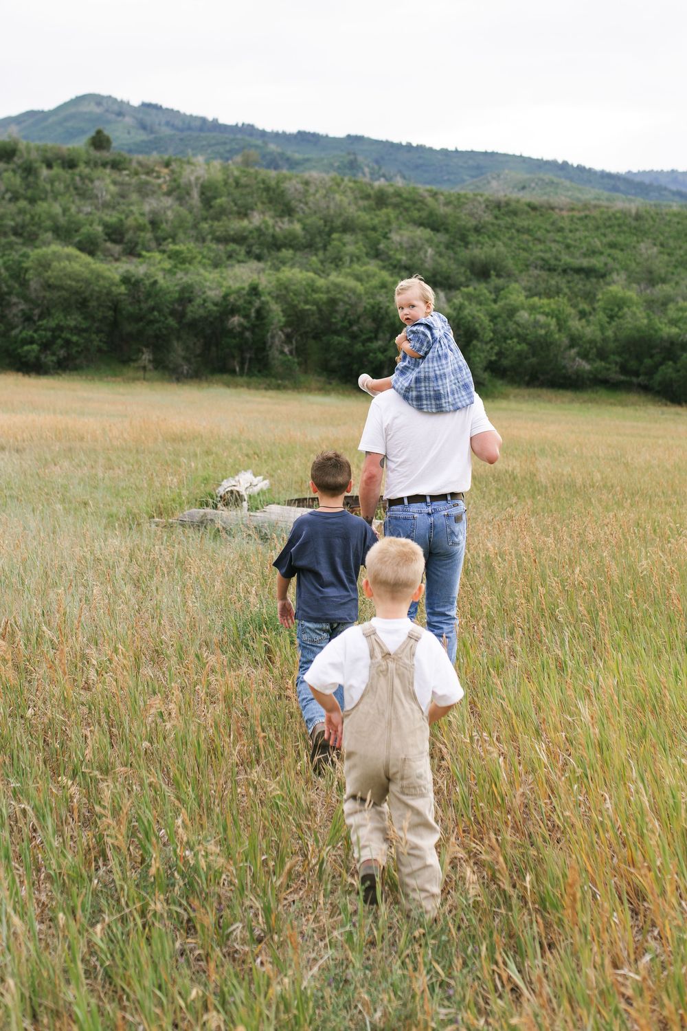 Father walks through a grassy field with three young children, mountains and green trees in the background.