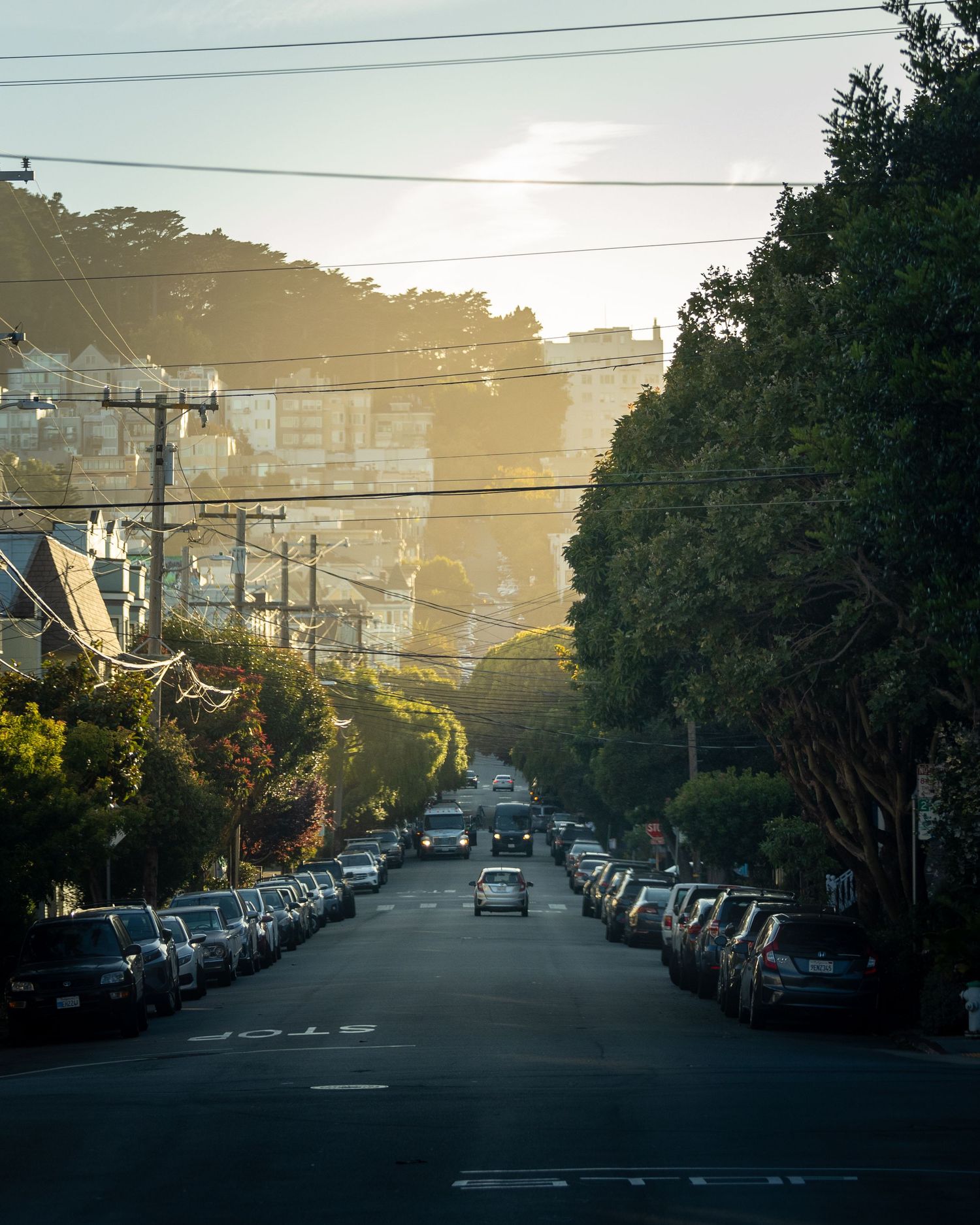 Sun-drenched residential street lined with parked cars and trees, sloping downhill in San Francisco at golden hour.