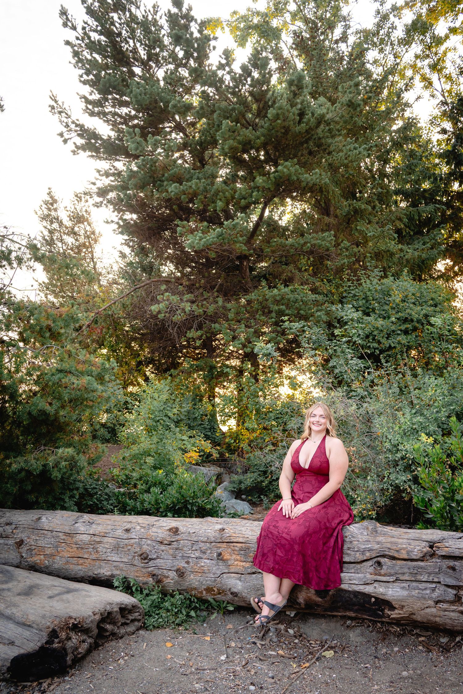 Environmental senior portrait among trees and driftwood near the Olympic Sculpture Park shoreline