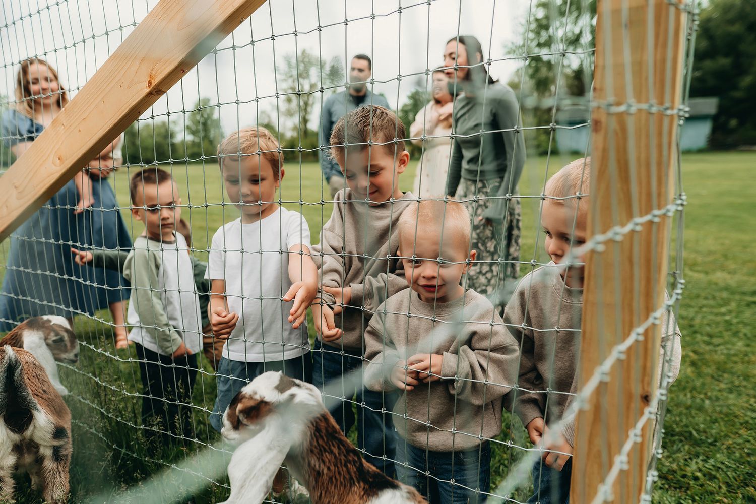Webberville Michigan Family Photographer