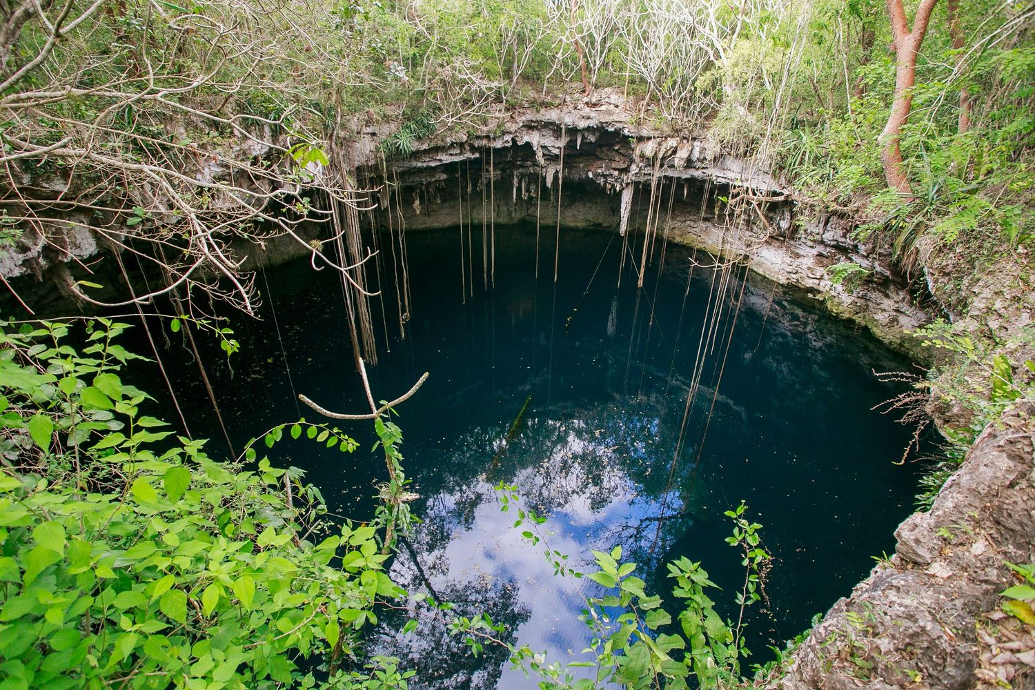 Natural cenote with deep blue water surrounded by limestone rock and vegetation.
