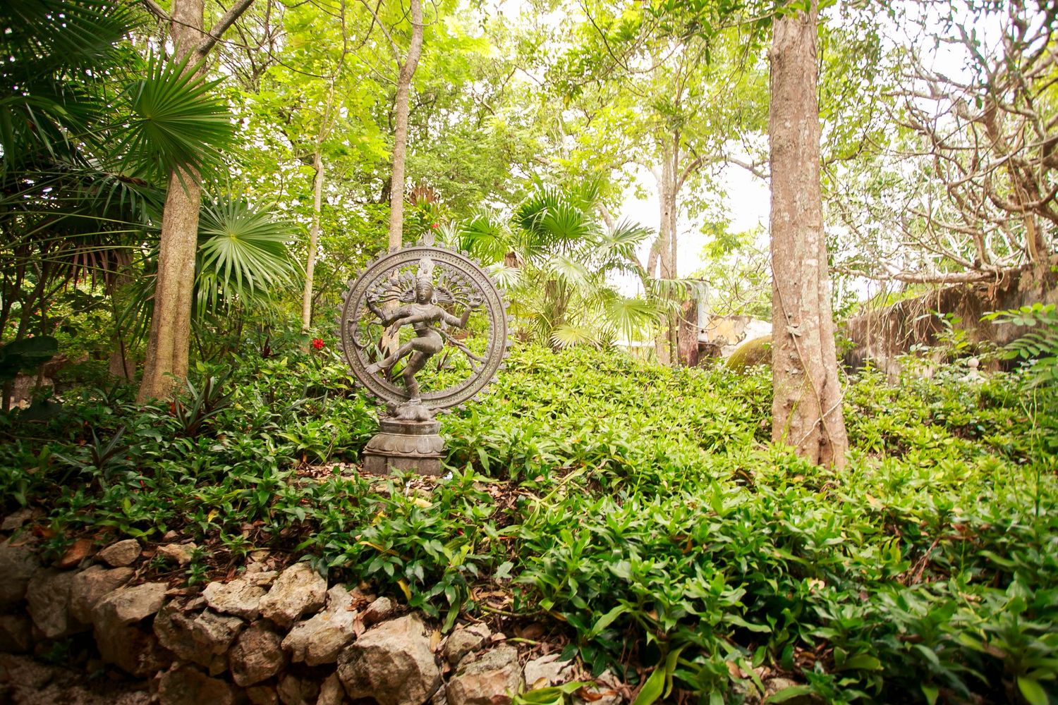 Tropical garden with stone wall and lush green plants on terraced landscape.