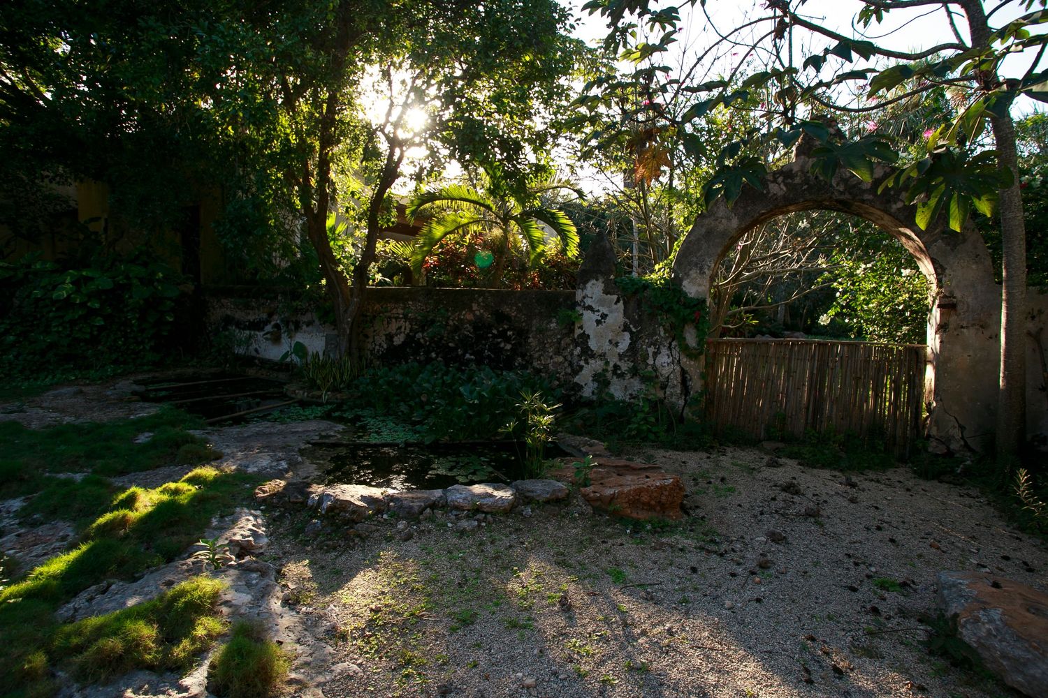 Dappled sunlight falls on a garden path with stone walls and tropical foliage.