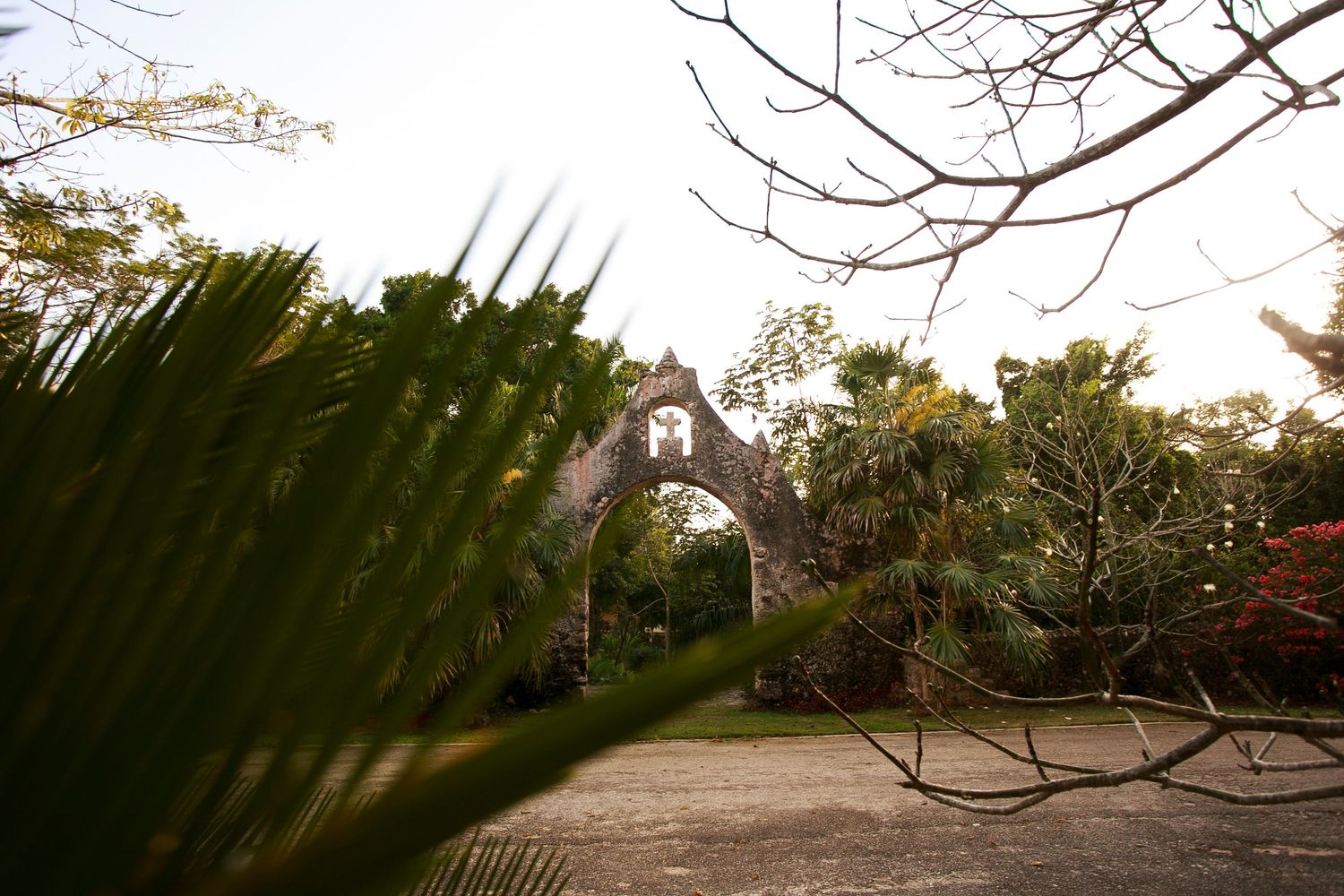 An arched garden pathway framed by palm fronds and tropical plants in golden evening light.