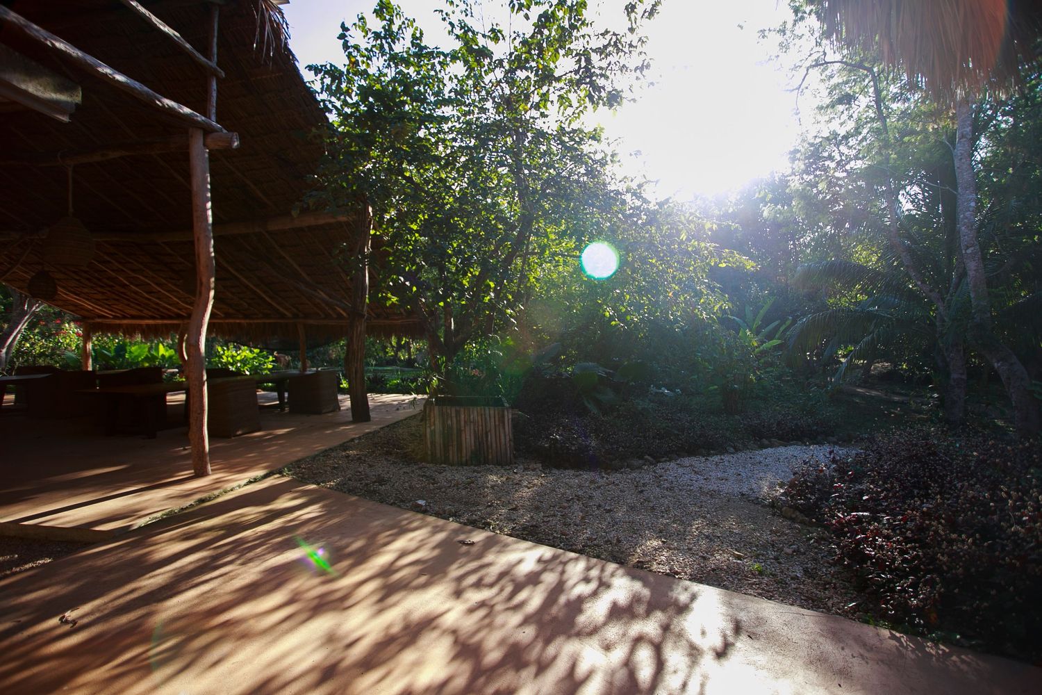 Sunlight streams through trees onto a wooden deck area creating dramatic shadow patterns.