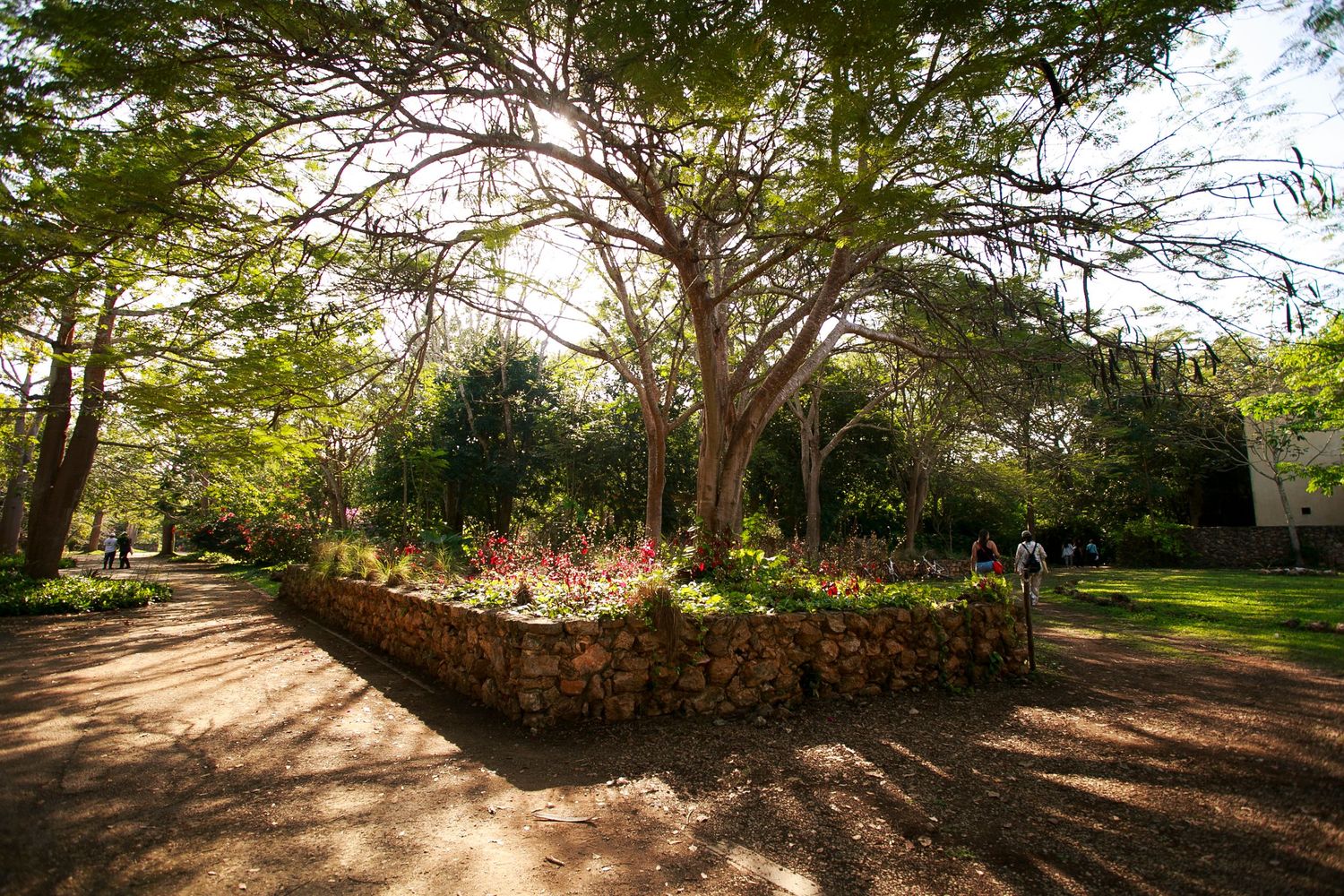 Stone-lined garden path winding through lush trees and landscaping.