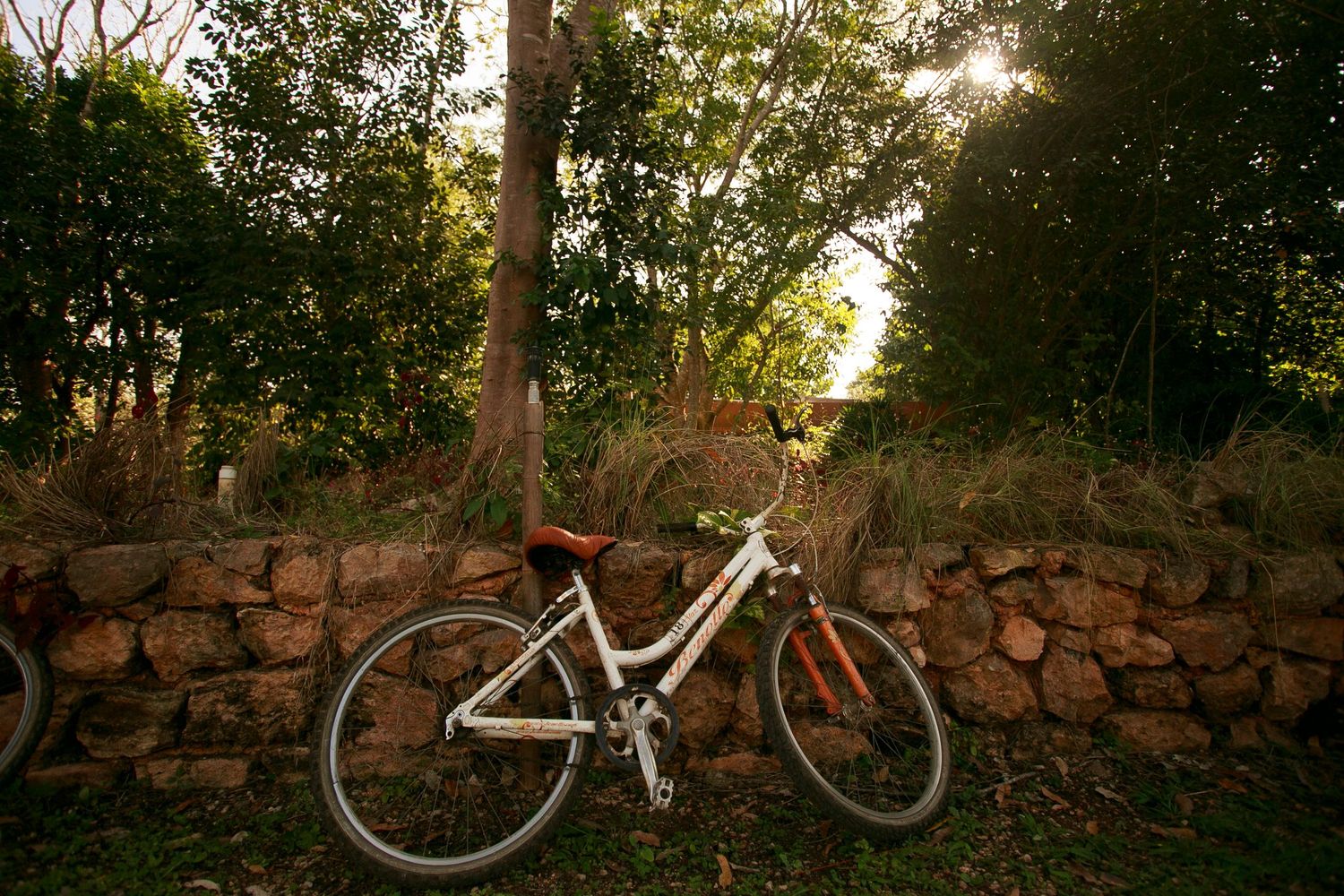 White bicycle leaning against rustic stone wall at sunset with trees in background.