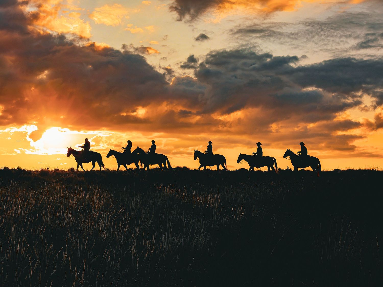 Silhouettes of six horseback riders crossing a golden field at sunset beneath a dramatic cloudy sky.