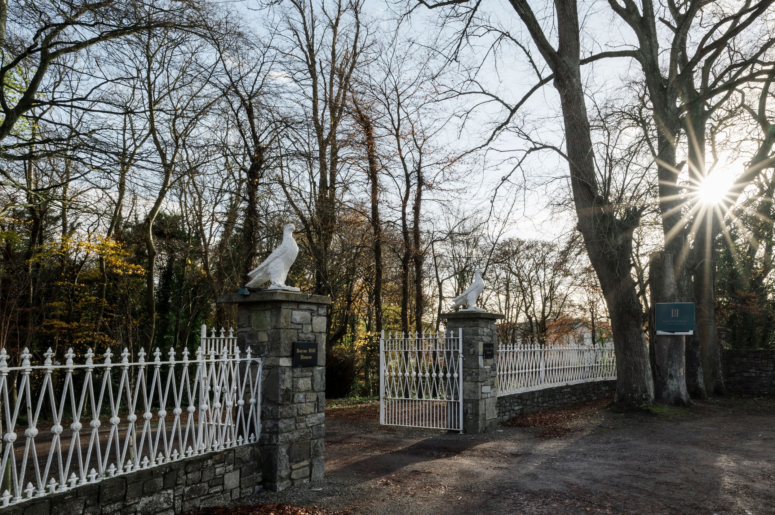 White iron gate entrance with stone pillars leading to a tree-lined driveway leading to a wedding in Boyne Hill House Estate